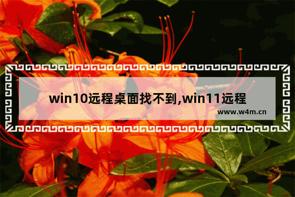 win10远程桌面找不到,win11远程桌面打不开