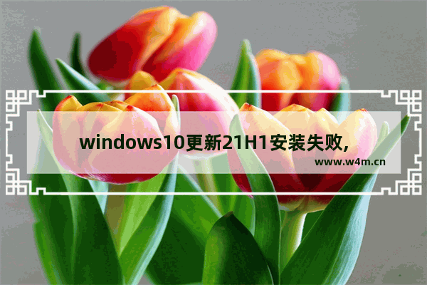 windows10更新21H1安装失败,Windows 10 Build 19041