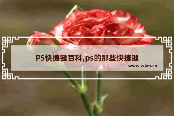 PS快捷键百科,ps的那些快捷键