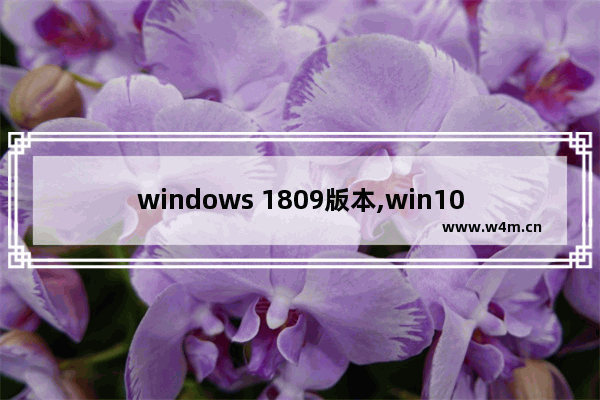 windows 1809版本,win10版本17763是1809吗