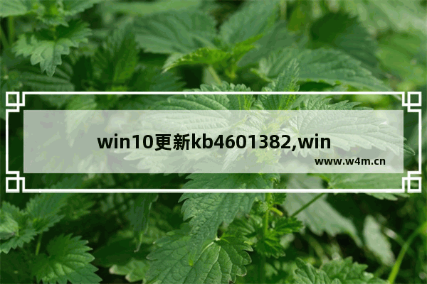 win10更新kb4601382,win10更新kb4601319_4