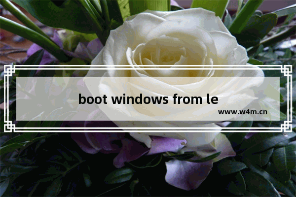 boot windows from legacy,win10可以用legacy启动项吗