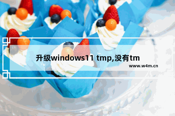 升级windows11 tmp,没有tmp2.0如何安装win11