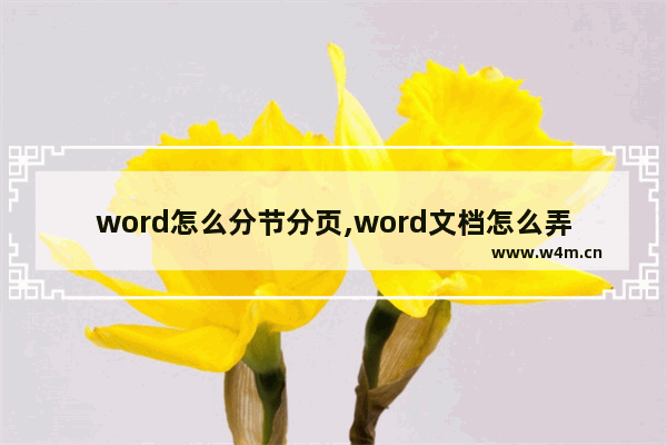 word怎么分节分页,word文档怎么弄分页