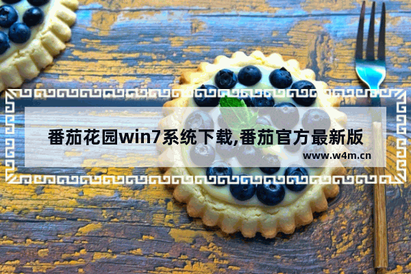 番茄花园win7系统下载,番茄官方最新版本下载