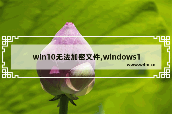 win10无法加密文件,windows10无法加密文件