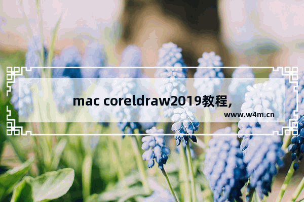 mac coreldraw2019教程,coreldraw 2019 mac download