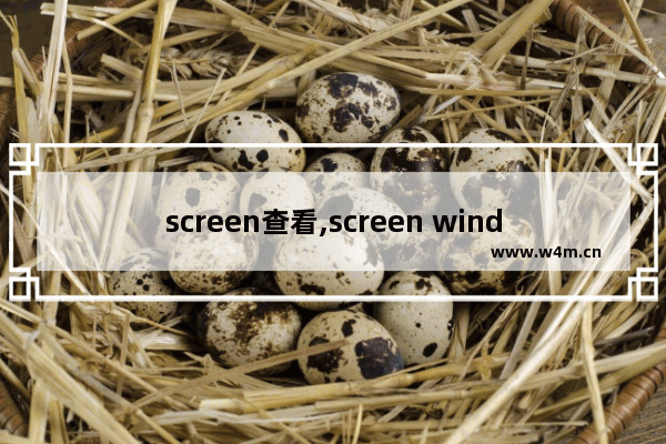 screen查看,screen windows