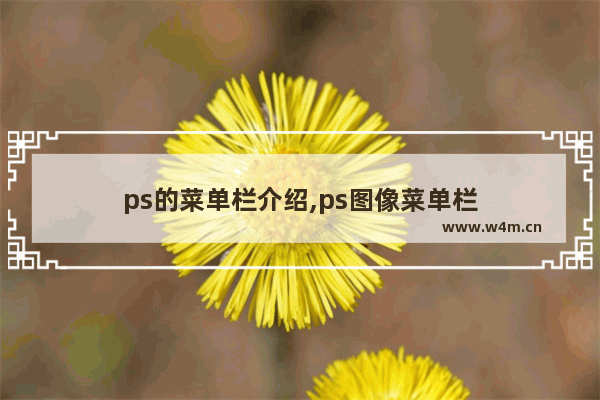 ps的菜单栏介绍,ps图像菜单栏