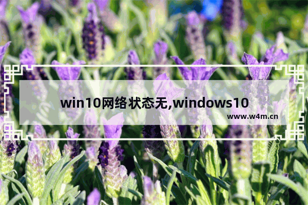 win10网络状态无,windows10网络属性打不开