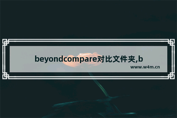 beyondcompare对比文件夹,beyond compare保存对比结果