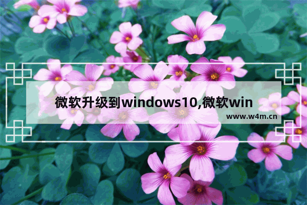 微软升级到windows10,微软windows更新