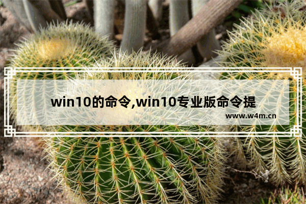 win10的命令,win10专业版命令提示符