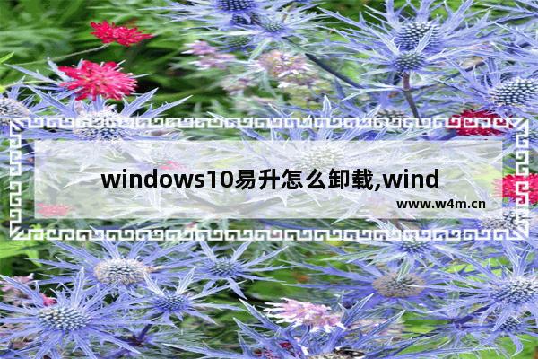 windows10易升怎么卸载,windows易升怎么卸载