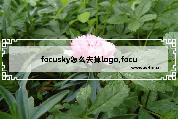 focusky怎么去掉logo,focusky可以导入的图片类型