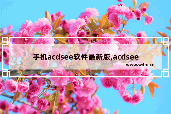 手机acdsee软件最新版,acdsee免费版怎么用