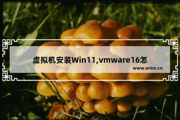 虚拟机安装Win11,vmware16怎么安装win10