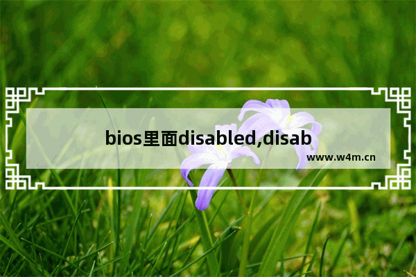 bios里面disabled,disable在bios里是什么意思