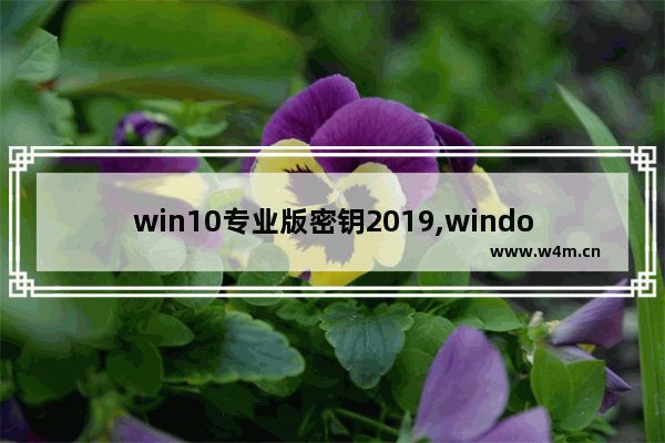 win10专业版密钥2019,windows10专业版激活密钥2019