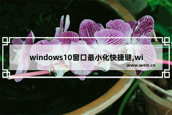 windows10窗口最小化快捷键,win10窗口没有最大化最小化按键