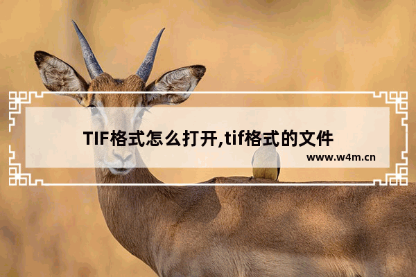 TIF格式怎么打开,tif格式的文件