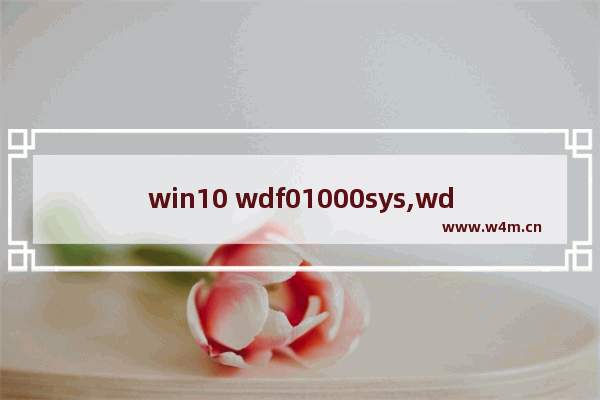 win10 wdf01000sys,wdf01000sys蓝屏win7