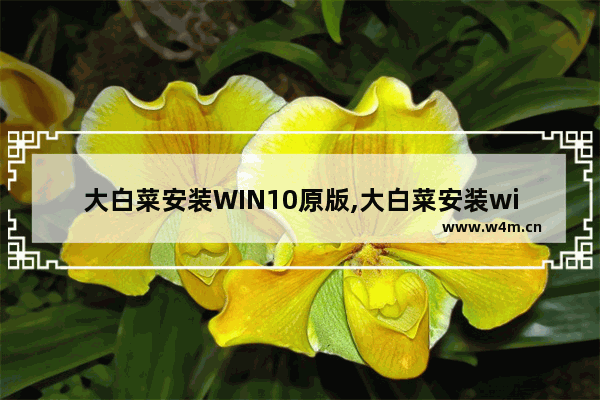 大白菜安装WIN10原版,大白菜安装windows10