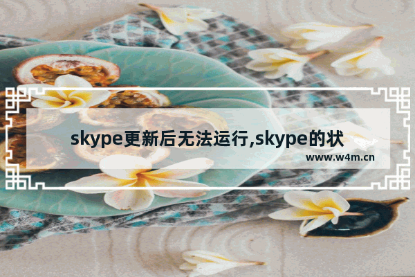 skype更新后无法运行,skype的状态