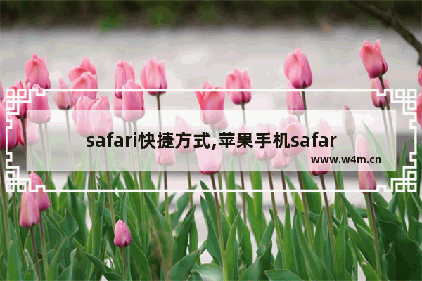 safari快捷方式,苹果手机safari快捷键