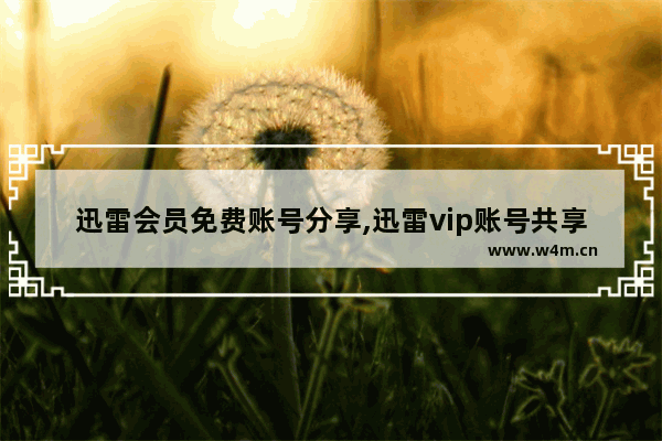 迅雷会员免费账号分享,迅雷vip账号共享最新_10