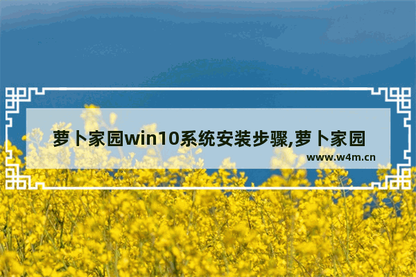 萝卜家园win10系统安装步骤,萝卜家园win7系统下载_2