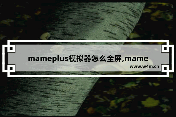 mameplus模拟器怎么全屏,mame如何全屏