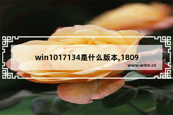 win1017134是什么版本,1809及以上版本的WIN10系统