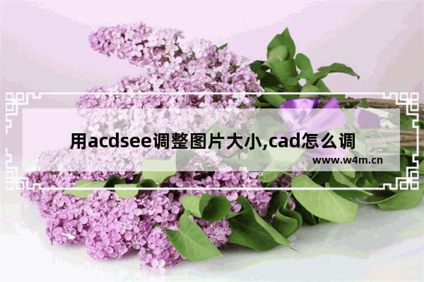 用acdsee调整图片大小,cad怎么调整图片分辨率