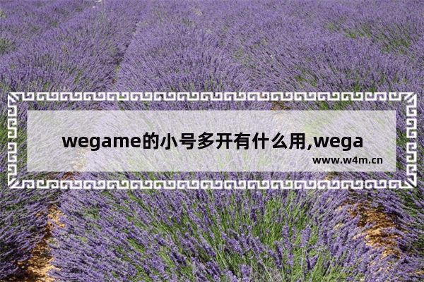 wegame的小号多开有什么用,wegame绑定不了小号