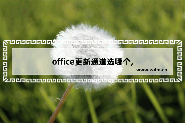 office更新通道选哪个,