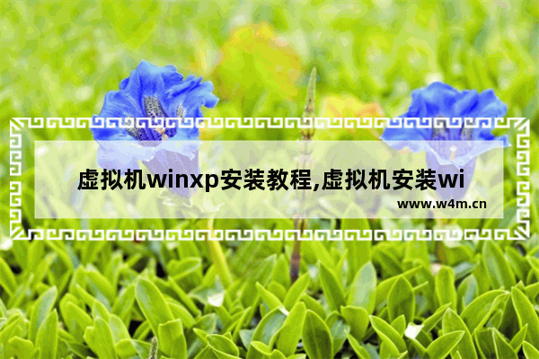 虚拟机winxp安装教程,虚拟机安装win xp