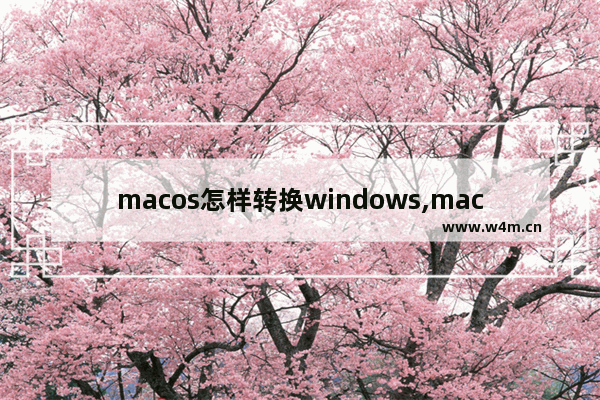 macos怎样转换windows,mac系统换成windows10系统