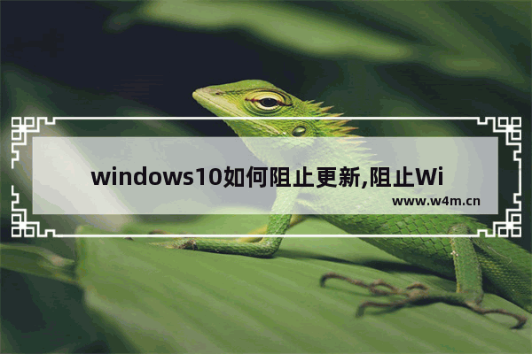 windows10如何阻止更新,阻止Win10更新