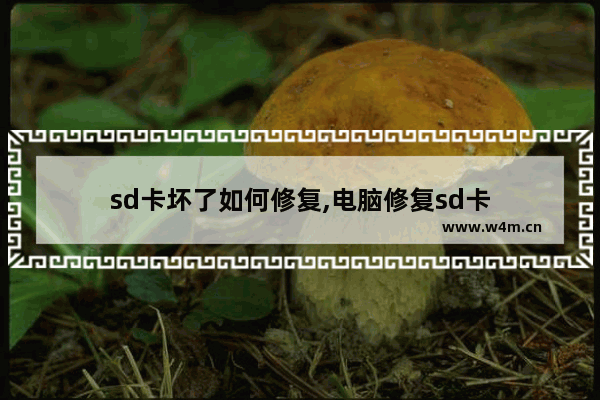 sd卡坏了如何修复,电脑修复sd卡