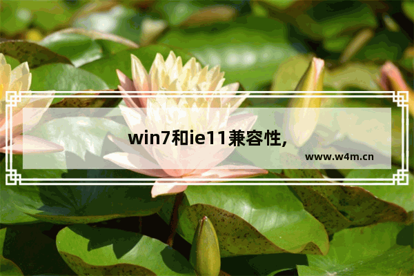 win7和ie11兼容性,