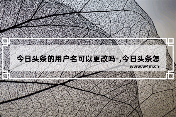 今日头条的用户名可以更改吗-,今日头条怎样更改用户名