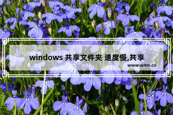 windows 共享文件夹 速度慢,共享文件夹访问很慢