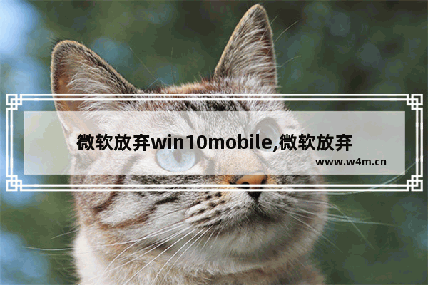 微软放弃win10mobile,微软放弃win10