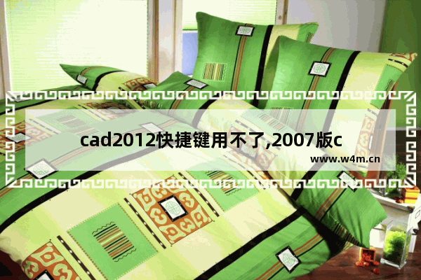 cad2012快捷键用不了,2007版cad快捷键不能用了怎么办