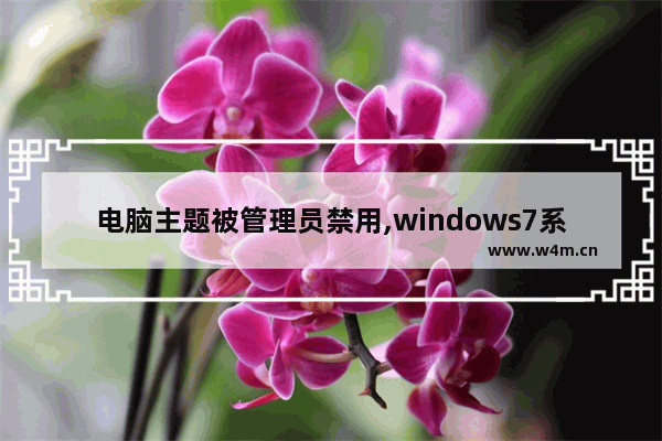 电脑主题被管理员禁用,windows7系统禁用怎么办