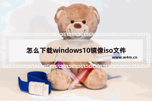 怎么下载windows10镜像iso文件,下载Windows 10 光盘映像(ISO 文件)