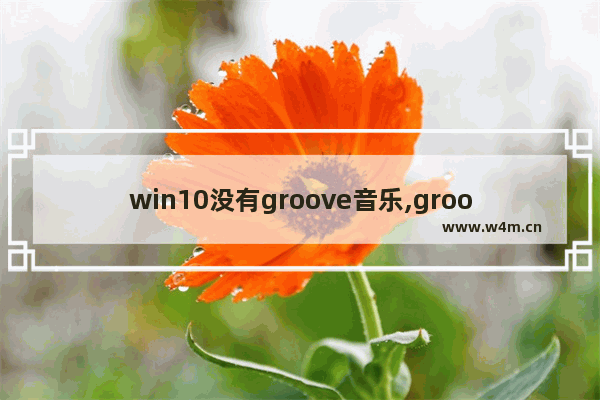 win10没有groove音乐,groove音乐不能播放