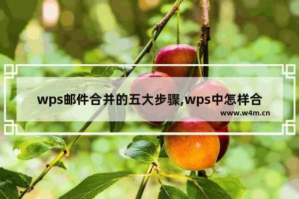 wps邮件合并的五大步骤,wps中怎样合并邮件