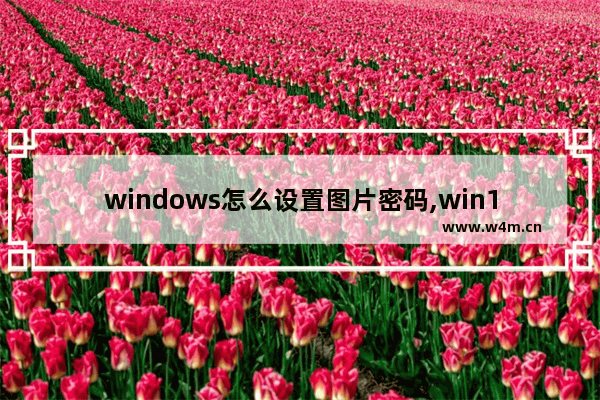 windows怎么设置图片密码,win10电脑相册怎么设置密码